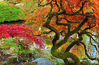 JK西蒙斯将为《博德之门3》反派将军配音